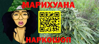 кокс Гатчина