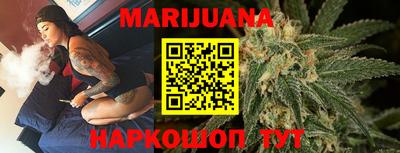 кокс Гатчина