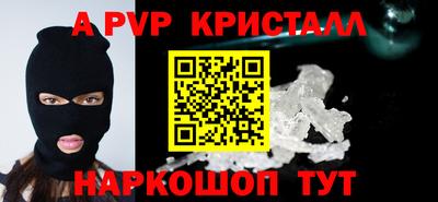 кокс Гатчина