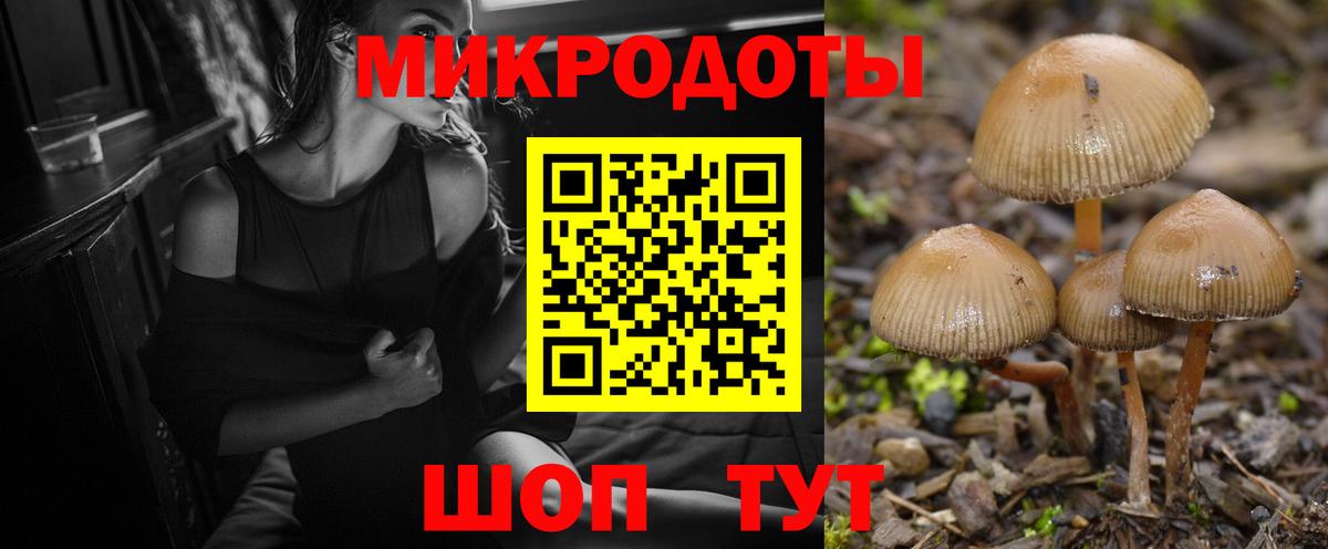 Галлюциногенные грибы GOLDEN TEACHER Мурино