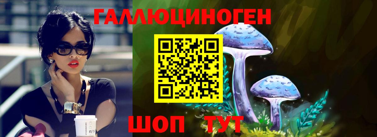 Галлюциногенные грибы ЛСД  цены наркотик  Мурино  Вход с VPN 